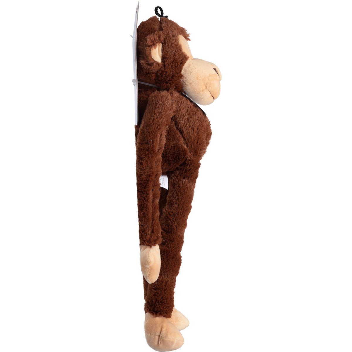 Order Acme - Multipet Swingin' Safari Asst Dog Toy